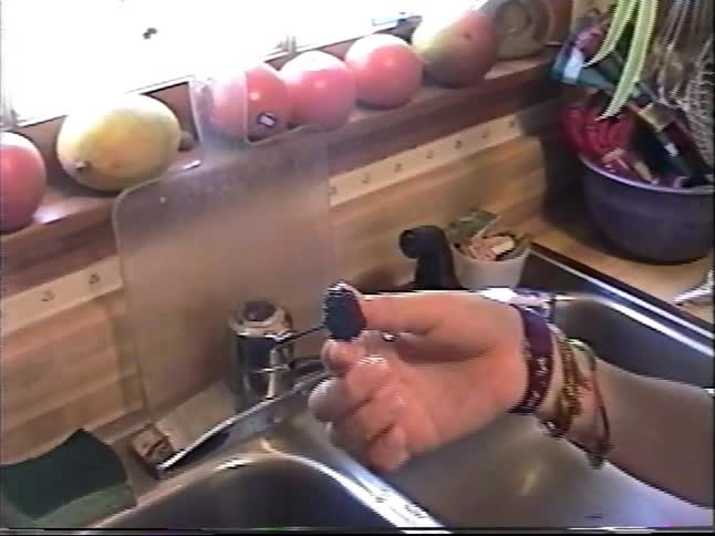 Vintage home video footage shows a young boy washing freshly picked blackberries in the kitchen sink and eating one