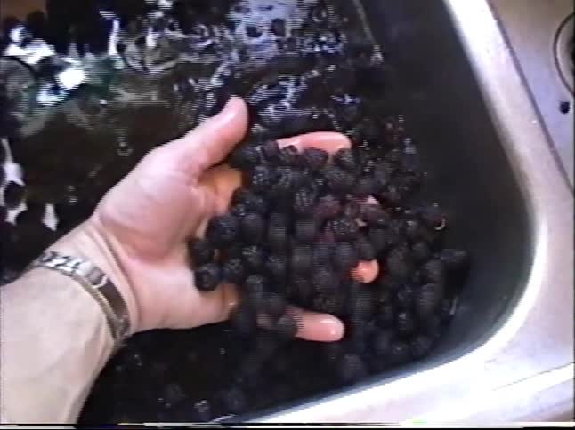 Archival footage from 1999 shows two people washing a large batch of fresh blackberries in a kitchen sink