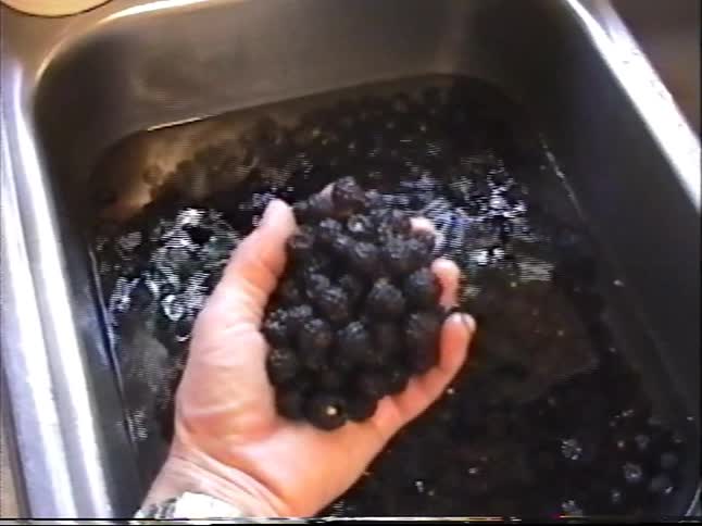 Home video footage shows a young boy and an adult washing a sink full of freshly picked blackberries