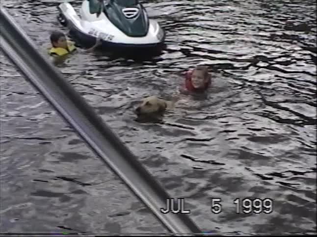 Vintage VHS footage from 1999 captures a man and a golden Labrador swimming and playing together in a lake with children nearby