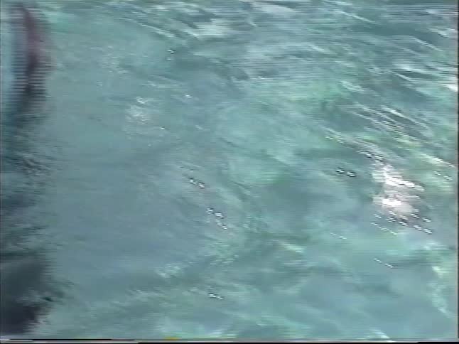 Two young boys play together in an outdoor swimming pool on a summer day in this vintage home video footage