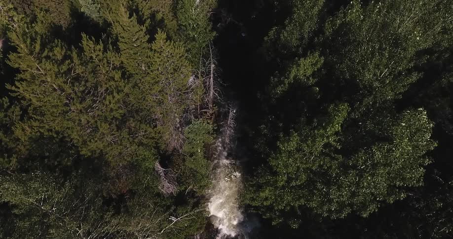 The rapids below are surrounded by tall trees