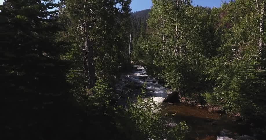A river runs swiftly between trees in a forest
