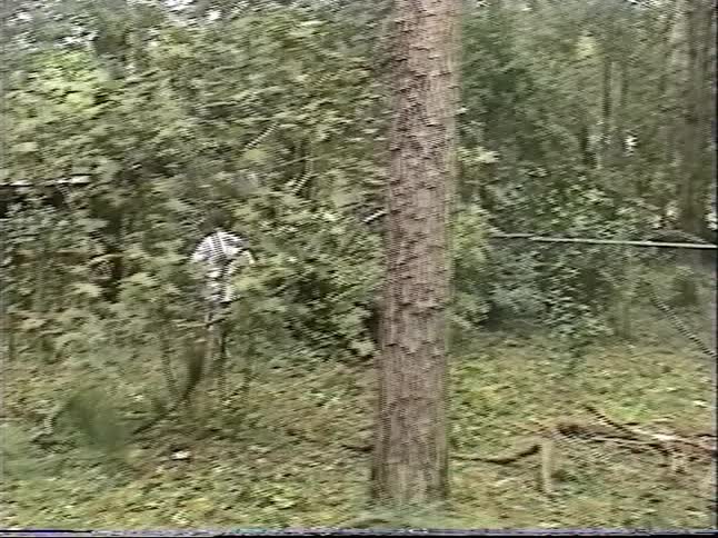 Archival VHS footage captures the aftermath of a storm, showing two men clearing fallen trees and debris from a wooded residential yard