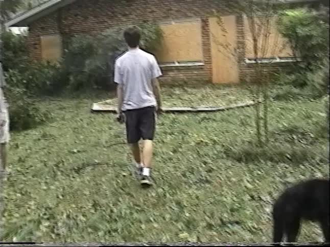 Vintage home video captures a family assessing the widespread damage of fallen trees and debris in their backyard after a powerful hurricane