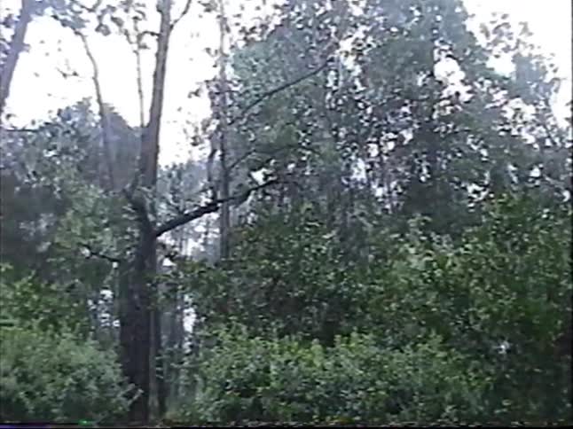Vintage home video shows two young men watching in awe as a powerful storm rolls through their backyard