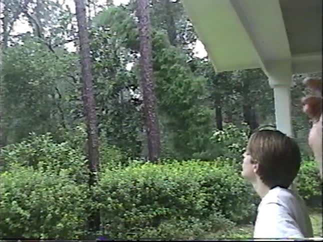 Vintage handheld footage shows a severe thunderstorm with strong winds and heavy rain battering trees in a forest as a young man watches from a porch