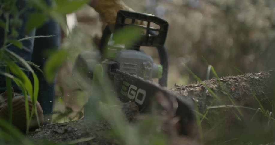 A man cuts through a tree with a chainsaw