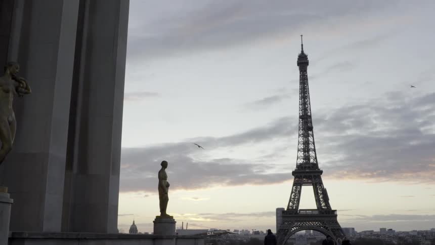 Birds fly past the eiffel tower