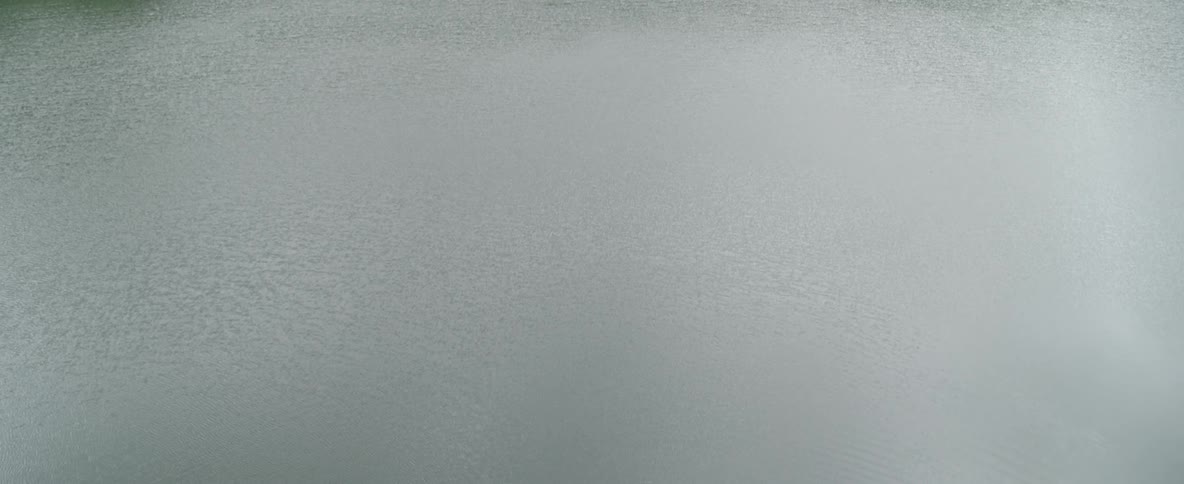 A slow tilt down from a forest-lined lake to the calm, rippling surface of the water on an overcast day
