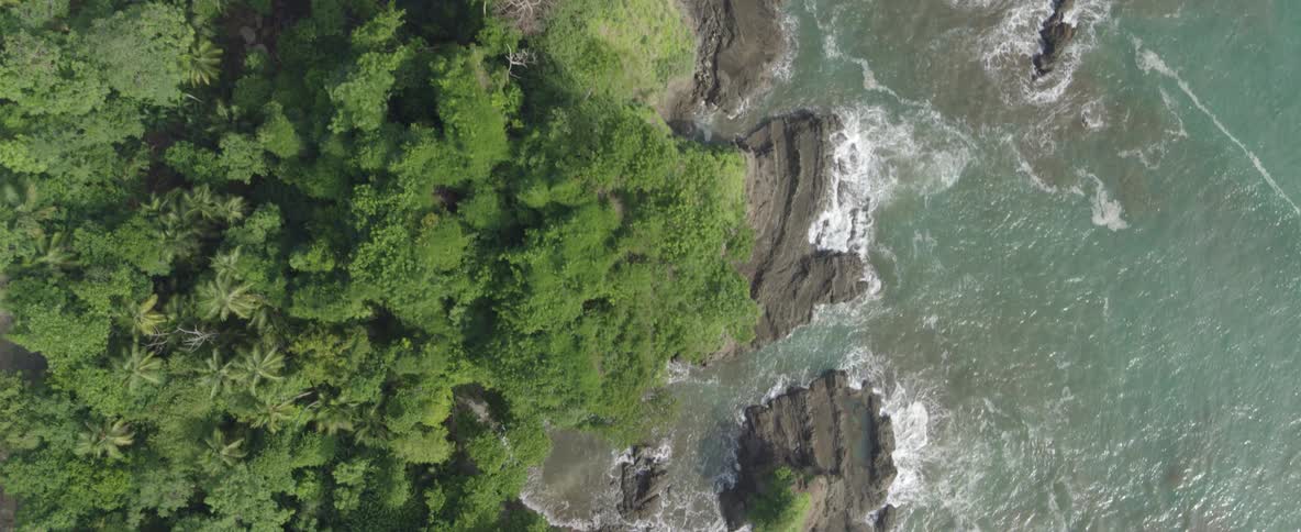 A rising aerial top-down shot captures the beautiful contrast between a lush tropical jungle and the rugged, rocky coastline