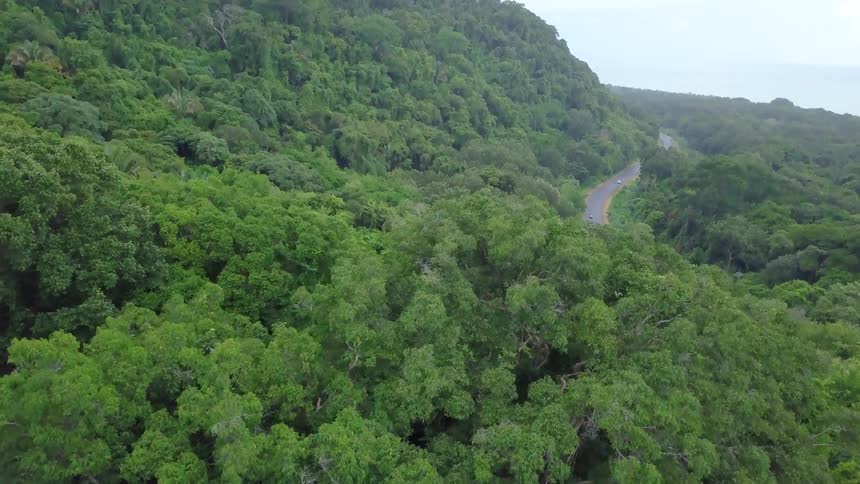 An aerial view pulls back from a tree canopy to reveal a lush, green tropical forest with a winding road and the ocean in the distance
