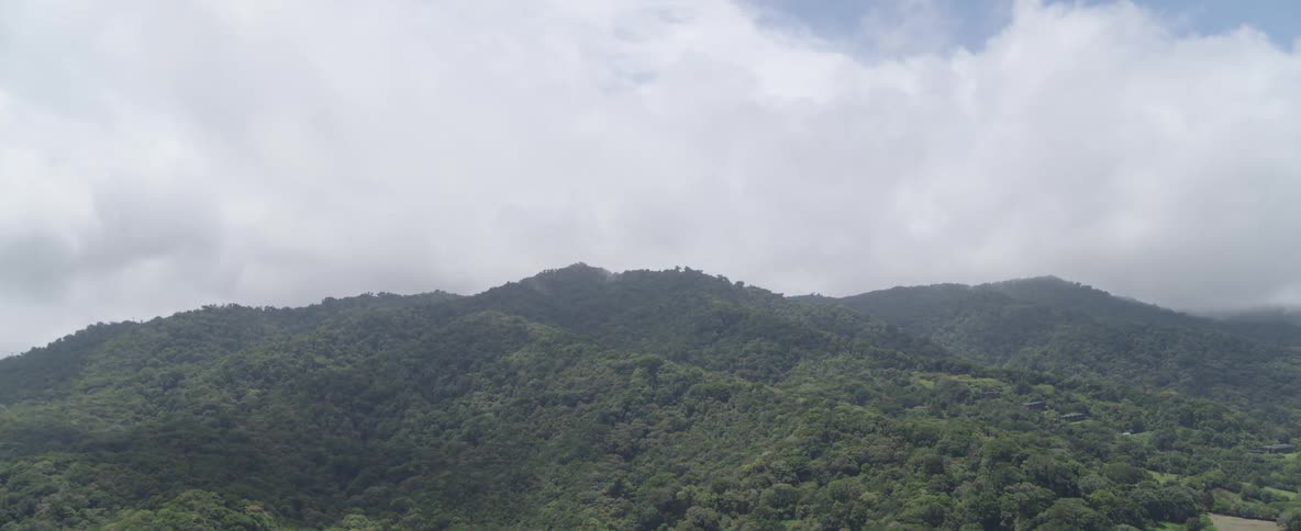 A static wide shot captures the serene beauty of a vast, tree-covered mountain range under a blanket of thick, white clouds