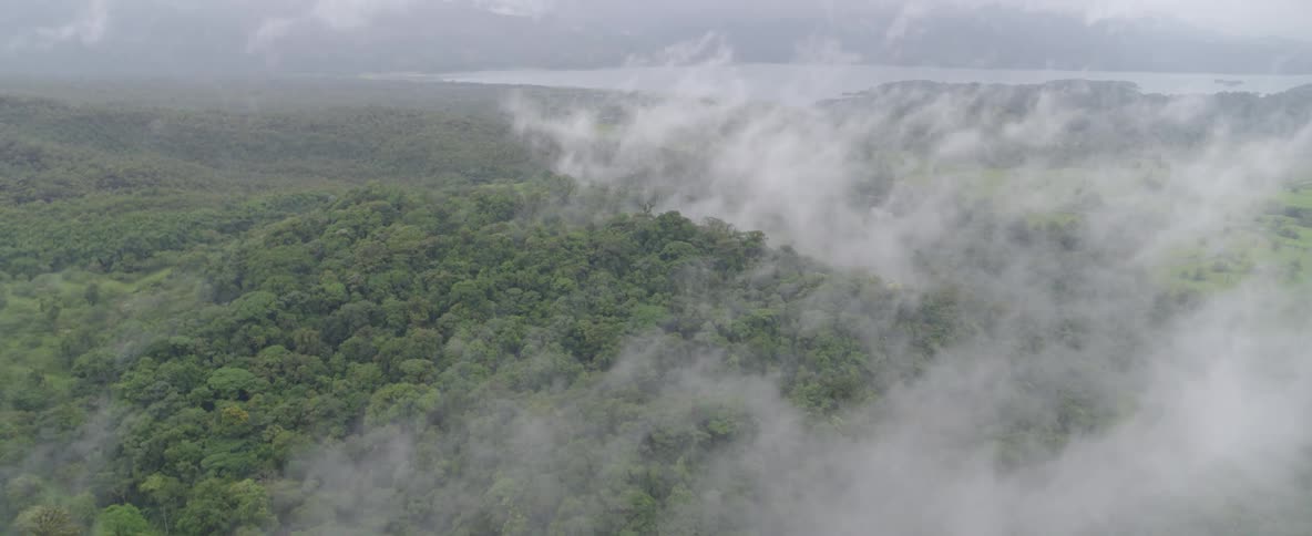 An aerial shot pulls back from a fog-covered tropical forest to reveal a vast lake and mountain range