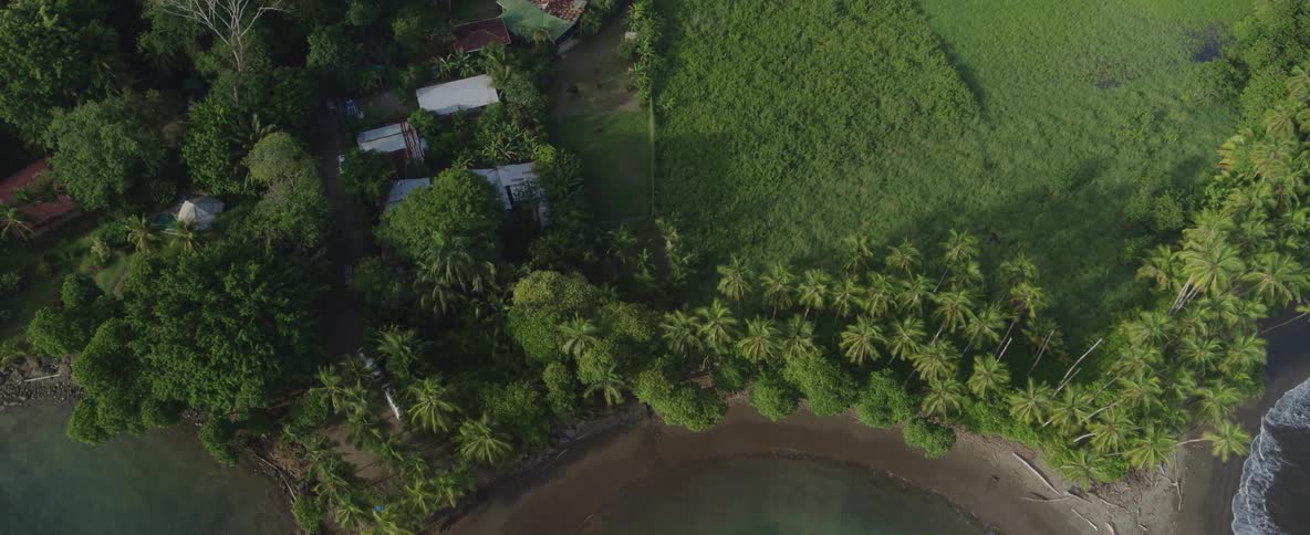 Aerial view pulls back from a remote village nestled in a lush jungle to reveal a beautiful tropical coastline with palm trees