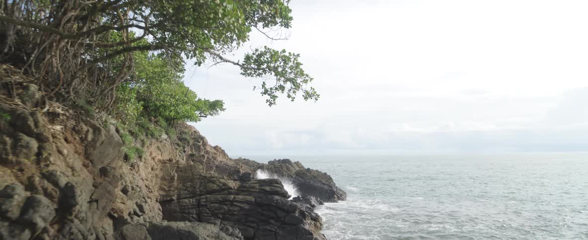 A slow pull-back shot reveals a picturesque rocky cove with lush tropical trees and gentle ocean waves under a bright sky