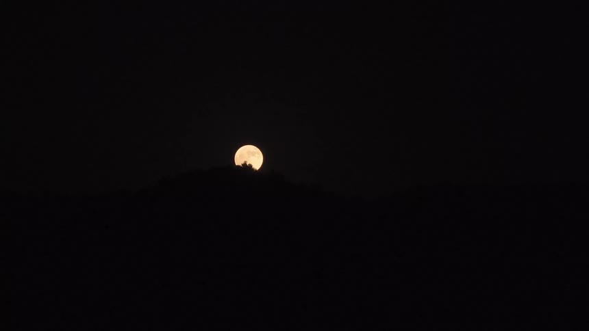 A beautiful time-lapse of a full moon rising over a silhouetted treeline in the dark night sky