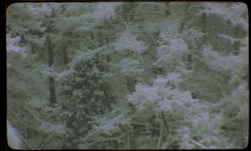 An archival shot slowly pans across a snow-covered forest of evergreen trees, eventually going out of focus