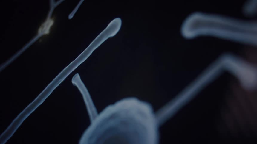 An abstract animation shows a biological network of cells growing and connecting with glowing synapses