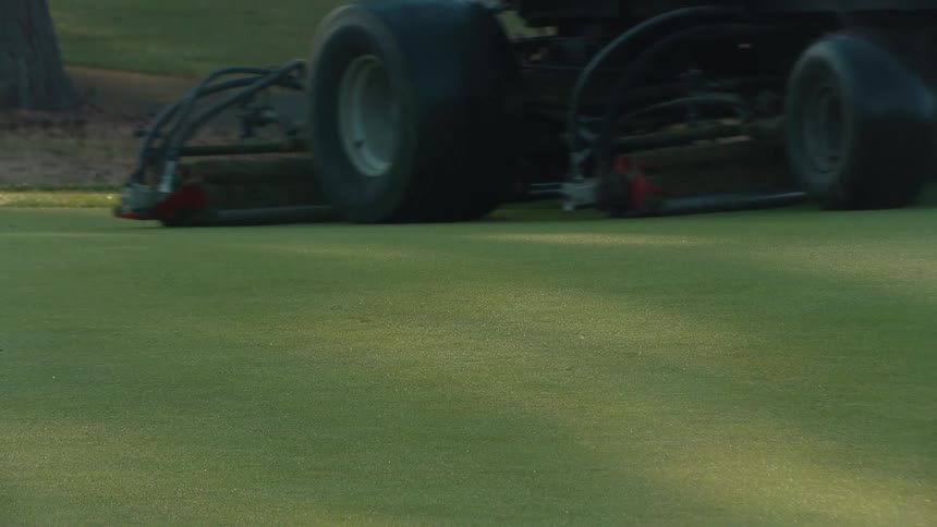 A large mower trims the pristine grass of a golf course green in the warm morning sunlight