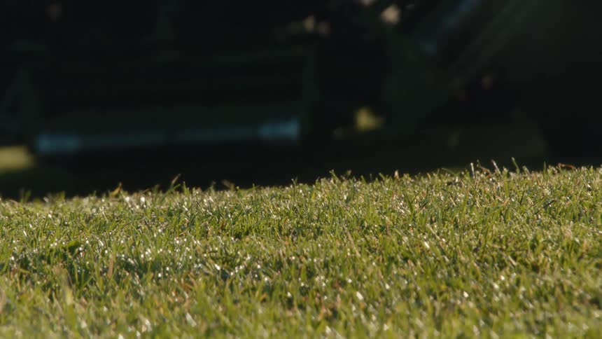 A reel mower glides across a dewy golf course fairway, cutting the grass in the early morning sun