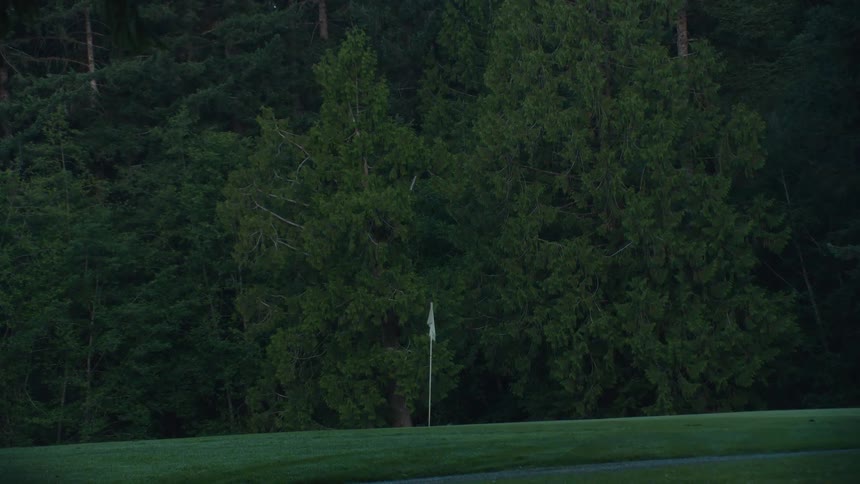 A tranquil zoom-in shot reveals a golf flag on a manicured green, nestled against a dense evergreen forest at dusk