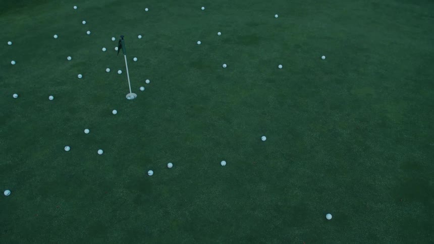 High angle view of a bird perched on a golf flag on a putting green littered with golf balls