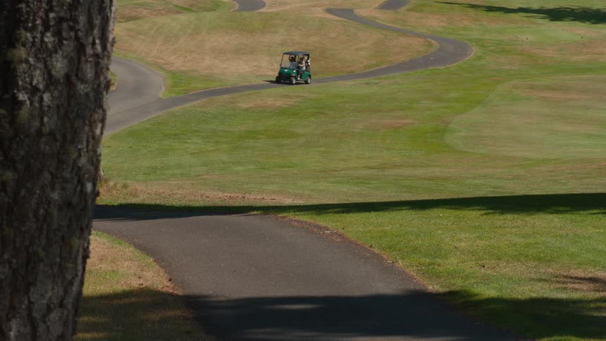 Two golfers drive their cart along a winding path on a lush green golf course on a sunny day