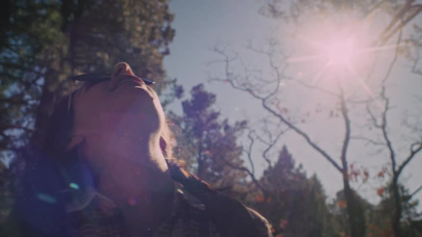 A woman in sunglasses gazes up at the sky, basking in the bright sun that creates a beautiful lens flare in the forest