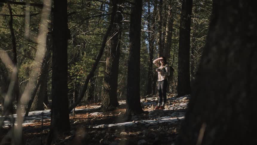 A female hiker with a backpack and camera pauses on a trail in a sunlit pine forest, shielding her eyes as she looks around