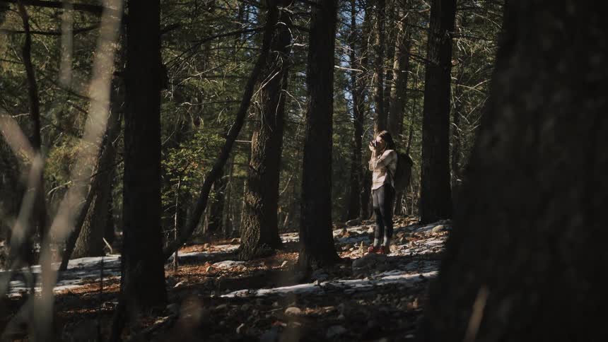 A female hiker with a backpack stops to take a photograph in a sun-dappled, snowy forest