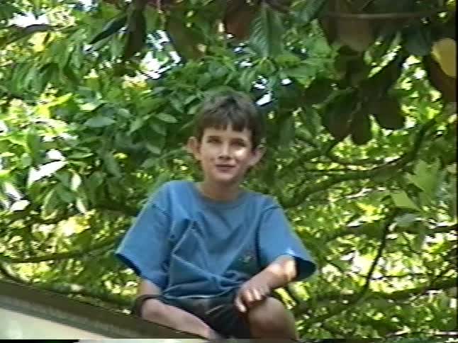 Vintage home video of a young boy in a blue shirt sitting on a roof surrounded by lush green trees