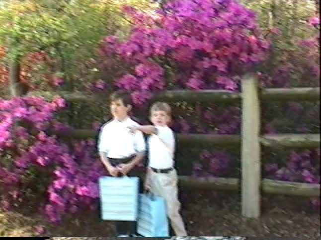 Two young boys in white shirts hold matching gift bags and pose in front of a vibrant pink azalea bush in this charming vintage home movie