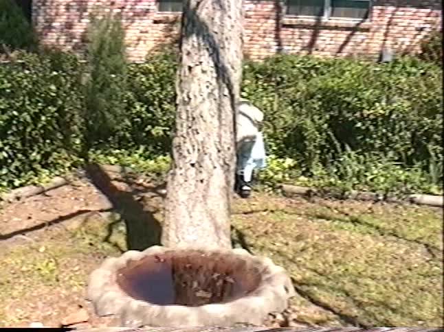 Vintage home movie captures two young children excitedly searching for colorful eggs during an Easter egg hunt in their sunny backyard