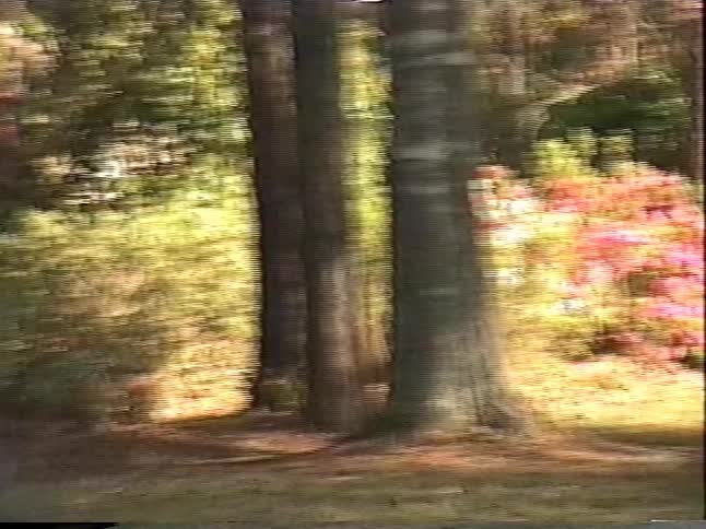 Vintage home video footage pans across a suburban neighborhood before settling on two young boys holding flowers in their front yard