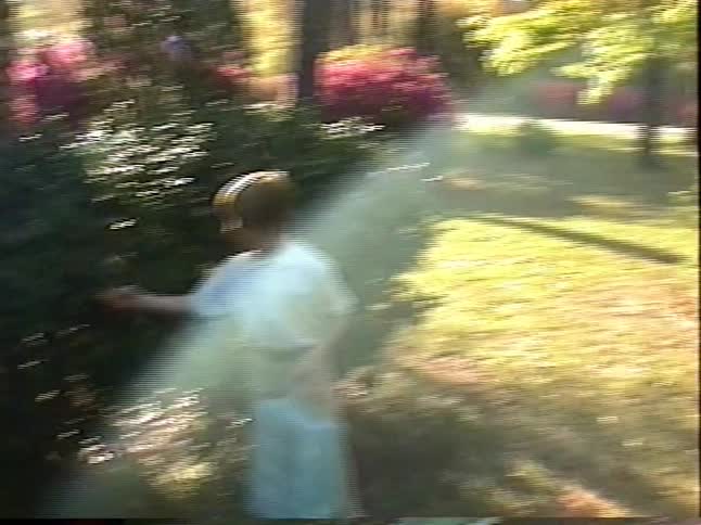 Vintage home movie from the 1990s shows two young brothers on an Easter egg hunt in their front yard