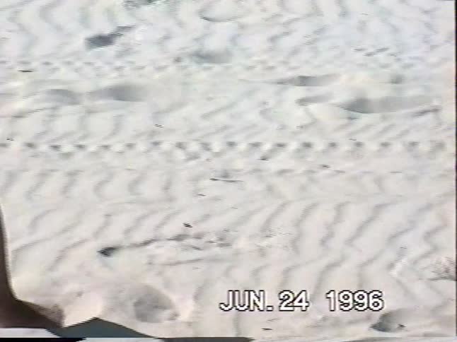 Vintage VHS footage from 1996 captures kids and an adult lighting a smoke bomb on a sunny, white sand beach