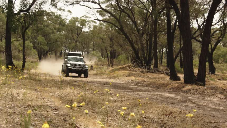 An off-road Jeep with a rooftop tent drives down a dusty track through a dry forest, kicking up dust past yellow wildflowers