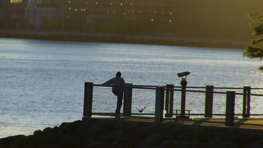 A silhouetted person leans on a railing at a waterfront overlook, peacefully watching the water at sunset