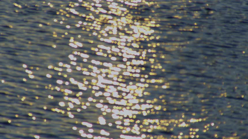 An abstract, out-of-focus shot of golden sunlight shimmering and sparkling on the surface of the water