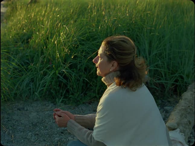 A contemplative woman sits alone on a rocky shore next to tall grass, bathed in the warm light of sunset