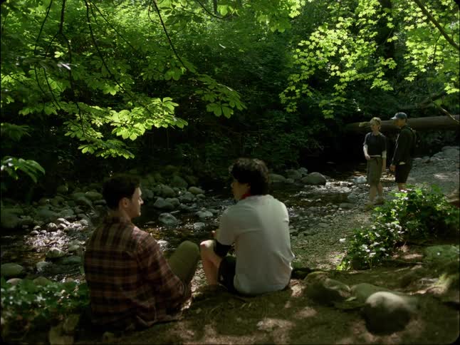 A group of friends relax by a serene creek in a lush, sun-dappled forest on a beautiful day
