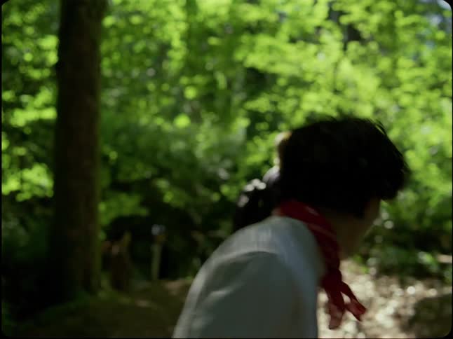 A teen comforts his friend with a supportive arm around the shoulder as they hike together in a sunlit forest