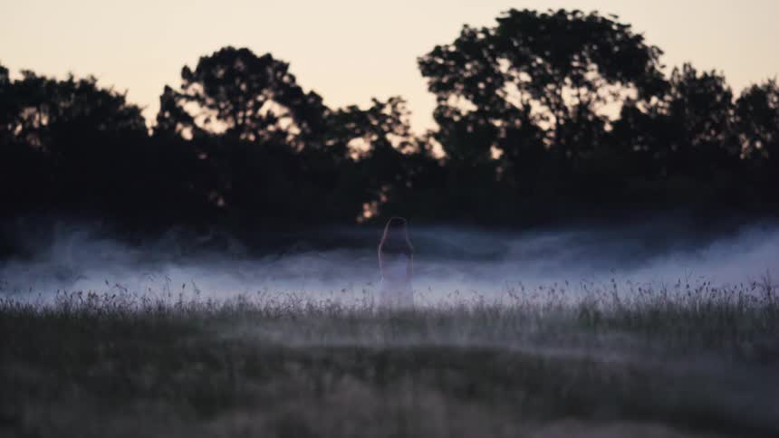 A solitary woman stands in a grassy field as mysterious fog swirls around her at dusk
