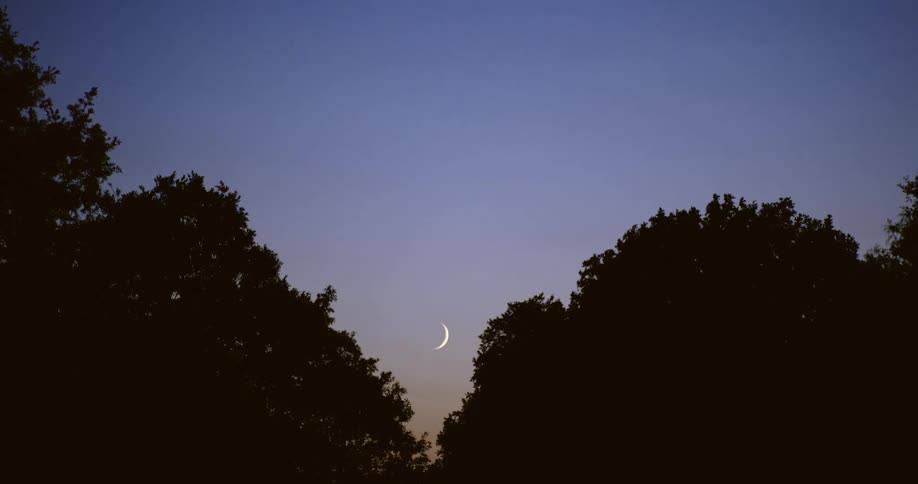A slender crescent moon appears between silhouetted trees against a deep blue twilight sky