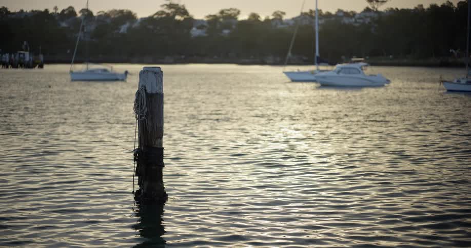 A single wooden pylon stands in a tranquil harbor with gentle ripples reflecting the golden sunset light