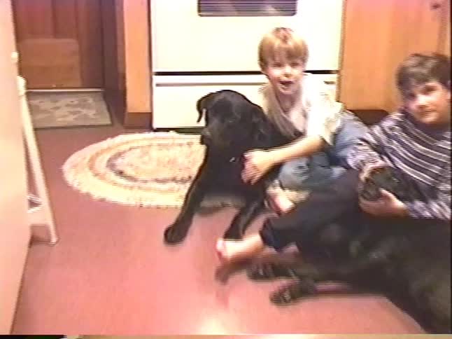 Two young brothers affectionately hug and pet their two black Labrador dogs on the kitchen floor