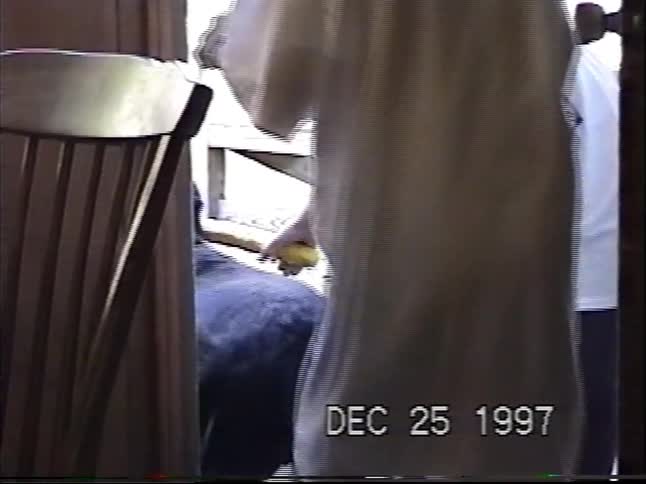 A vintage VHS home video captures a black dog being brushed by its owner by a doorway on Christmas Day in 1997