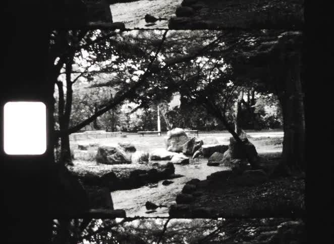 Gritty black and white archival footage zooms out from two herons standing in a rocky stream within a peaceful park