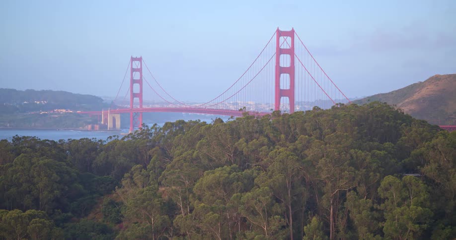 The iconic Golden Gate Bridge stands tall over the San Francisco Bay, with a dense green forest in the foreground